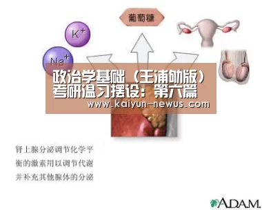政治学基础(王浦劬版)考研温习摆设:第六篇第三章‘Kaiyun官网入口 - 首页通道’(图2) Kaiyun官网入口 - 首页通道